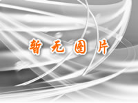 &#109;&#107;&#23448;&#32593;